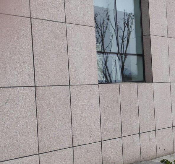 山東省五蓮紅干掛